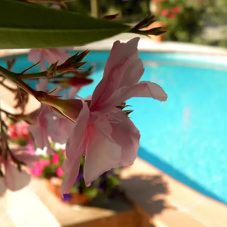 Bed & Breakfast La Degli Artisti *